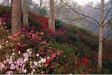 《毁灭战士：黑暗时代》11分钟实机 新截图和视觉图